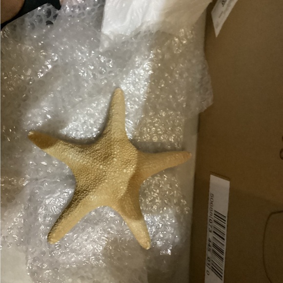 Star fish, authentic, vintage very nice - Picture 3 of 3
